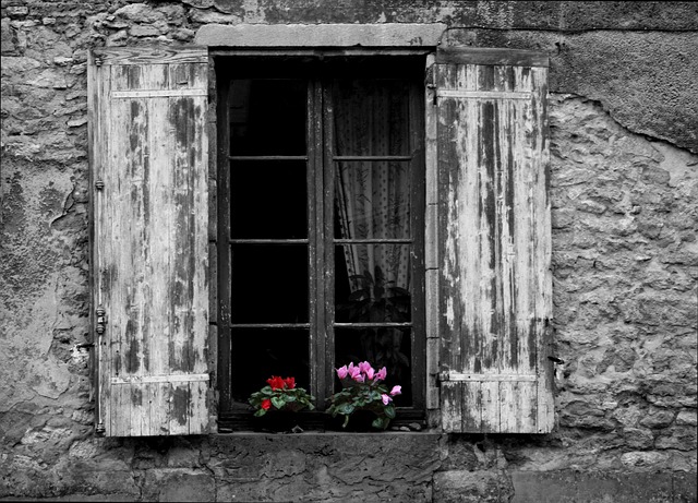 truhlík s květinami za oknem